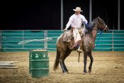 Colt Starting Brian roping metal barrel